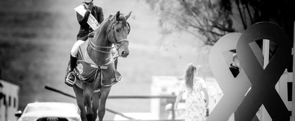 The JumpOff, Showjumping News, South Africa,