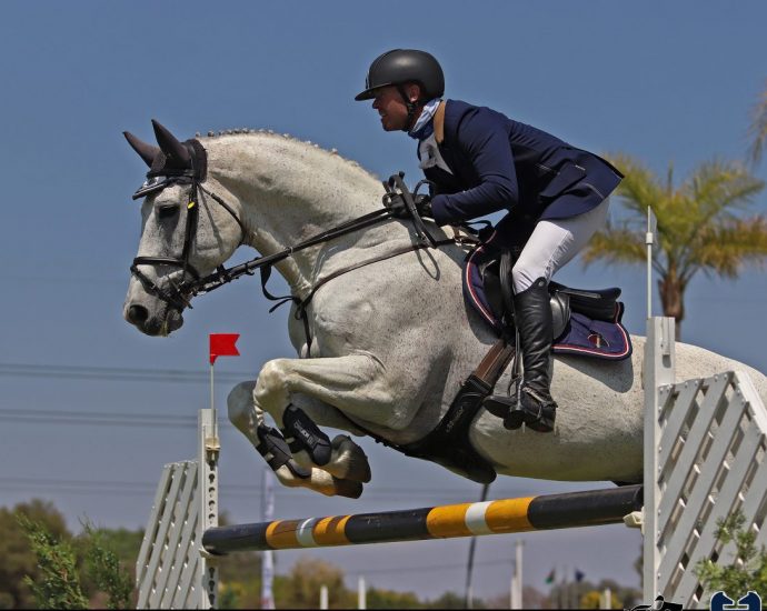 The JumpOff, Showjumping News, South Africa,