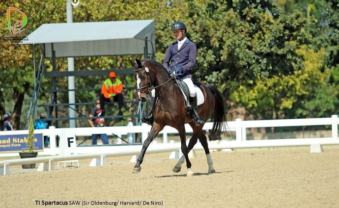The JumpOff, Showjumping News, South Africa,