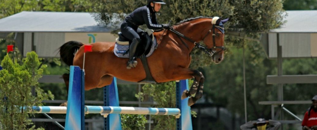 The JumpOff, Showjumping News, South Africa,