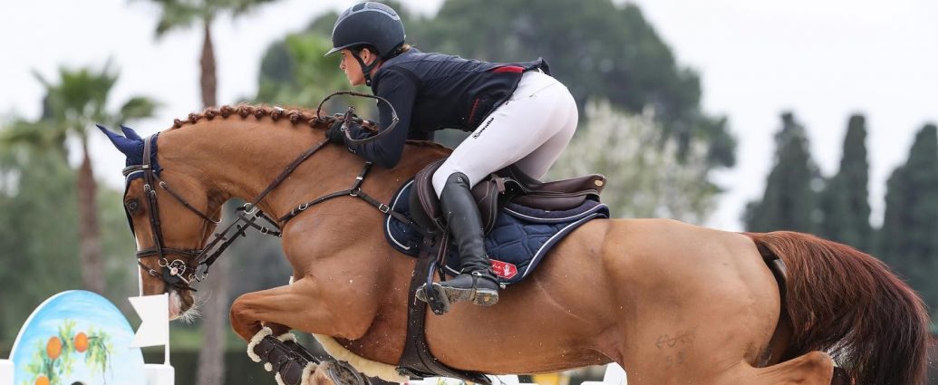 The JumpOff, Showjumping News, South Africa,