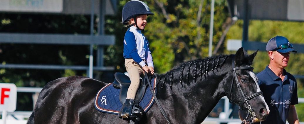 The JumpOff, Showjumping News, South Africa,