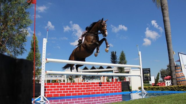 Ada-Raine Ferguson, The JumpOff